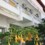 www.appartements-alexandra.de www.appartements-alexandra.de