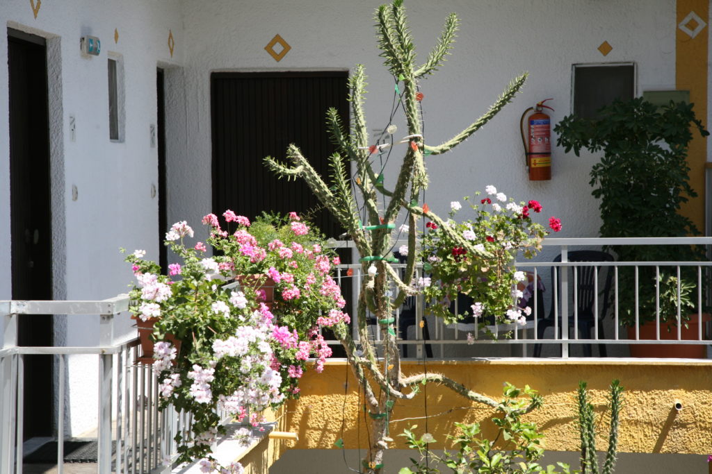 www.appartements-alexandra.de